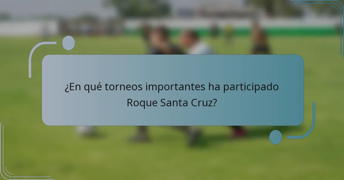 ¿En qué torneos importantes ha participado Roque Santa Cruz?